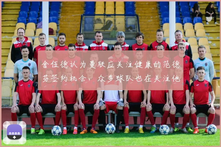 舍伍德认为曼联应关注健康的范德芬签约机会，众多球队也在关注他